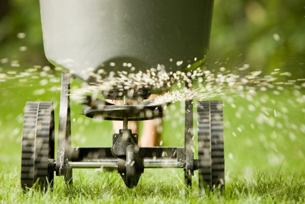 How To Fertilize Golf Course? Strengthen Turf Instantly
